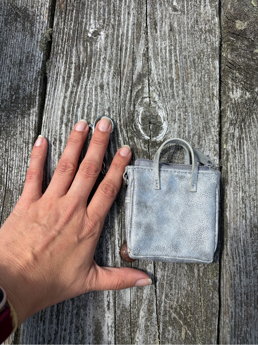 Siver Cindy tote coin purses